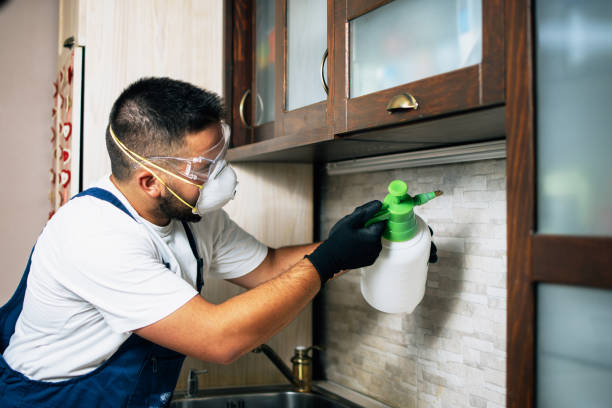Best Best Pest Control Companies  in Mount Vernon, AL