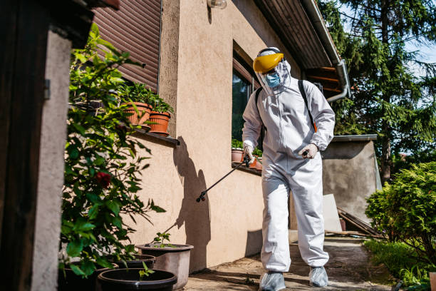 Best Best Pest Control Companies  in Mount Vernon, AL