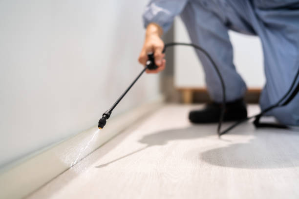 Best Termite Control Services  in Mount Vernon, AL