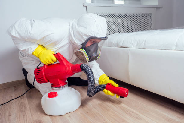Best Mosquito Control Services  in Mount Vernon, AL
