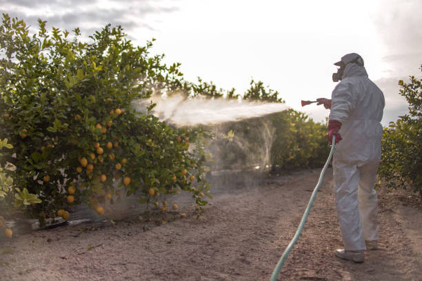 Best Exterminator Services  in Mount Vernon, AL