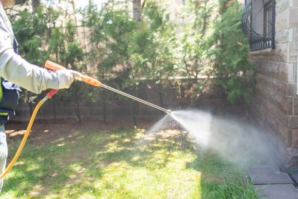 Best Pest Prevention Services  in Mount Vernon, AL