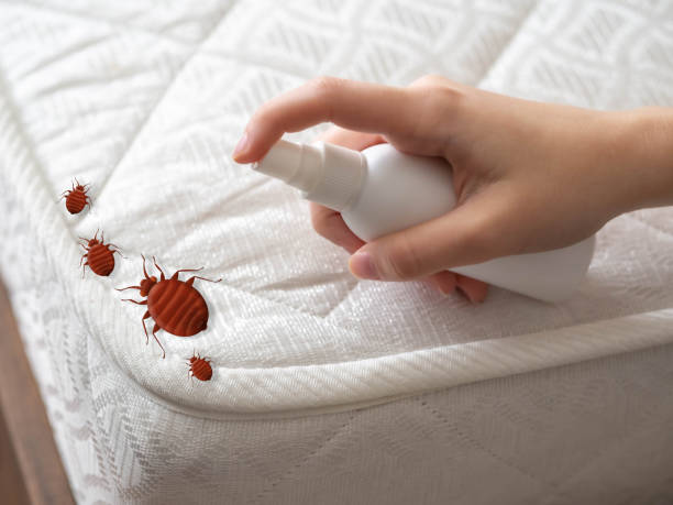 Best Best Pest Control Companies  in Mount Vernon, AL