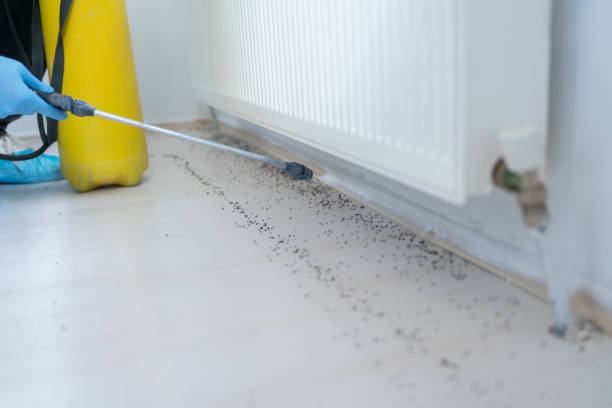 Best Termite Control Services  in Mount Vernon, AL
