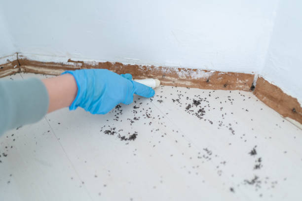 Mount Vernon, AL Pest Control Company